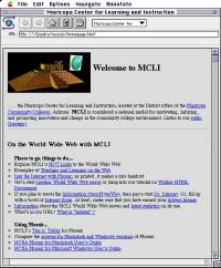 C'est avec Mosaic, premier navigateur graphique, que le web prit réellement son essor en 1993.